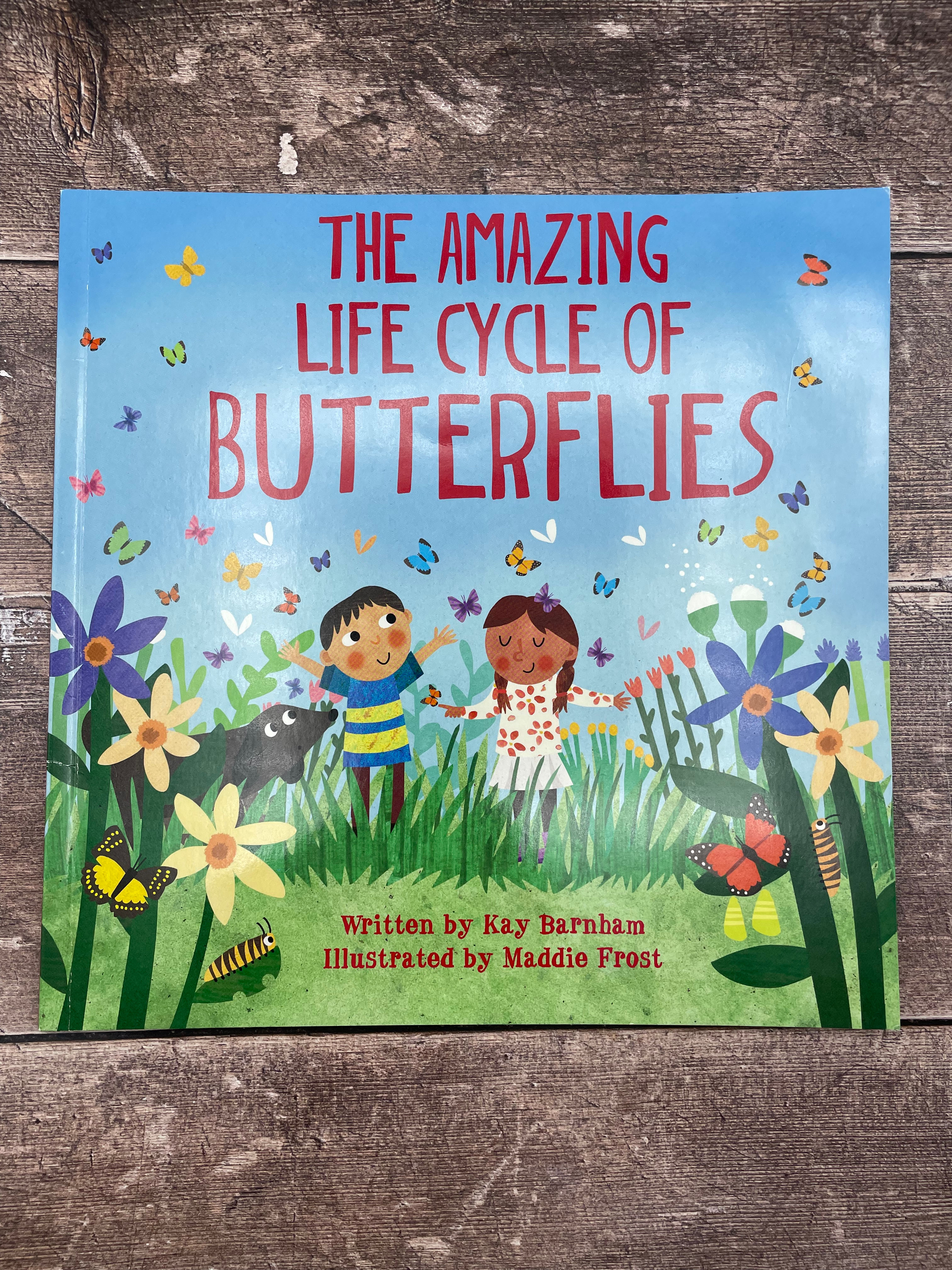 Look and Wonder: The Amazing Life Cycle of Butterflies
