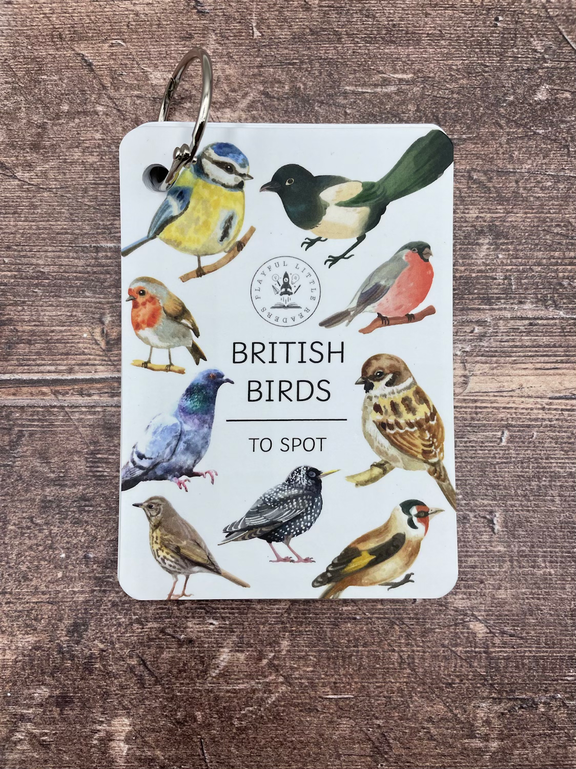 British Birds - Explorer