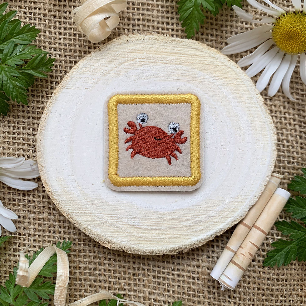 Thumbnail: Beach Kit