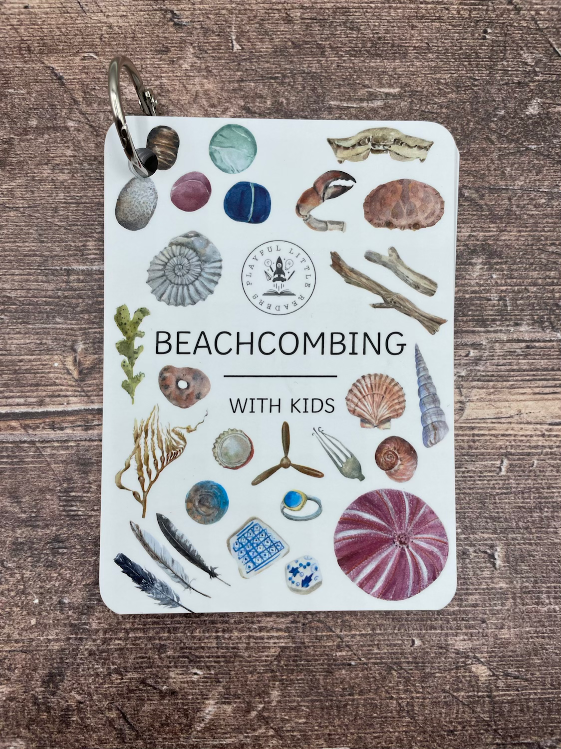 Beachcombing with Kids Explorer
