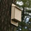 Thumbnail: Bat Rewilding Kit