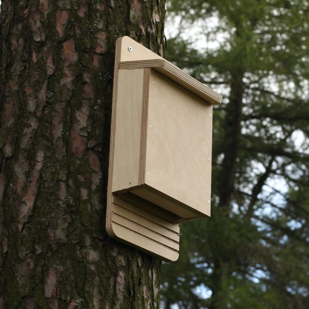 Bat Box Kit