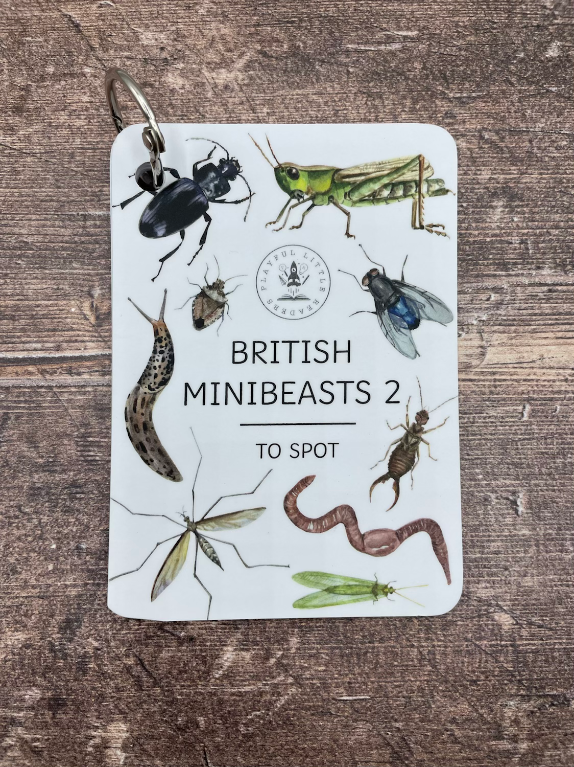 British Minibeasts 2 - Explorer