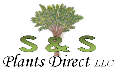 S&S Plants Direct, LLC logo