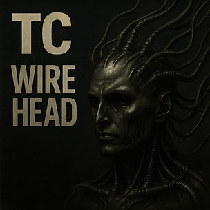 Wirehead COver.jpg