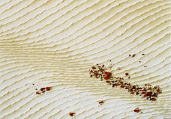 219 - Oil on canvas 50X70 cm.jpg