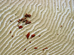 231 - Oil on canvas 90X120 cm.jpg