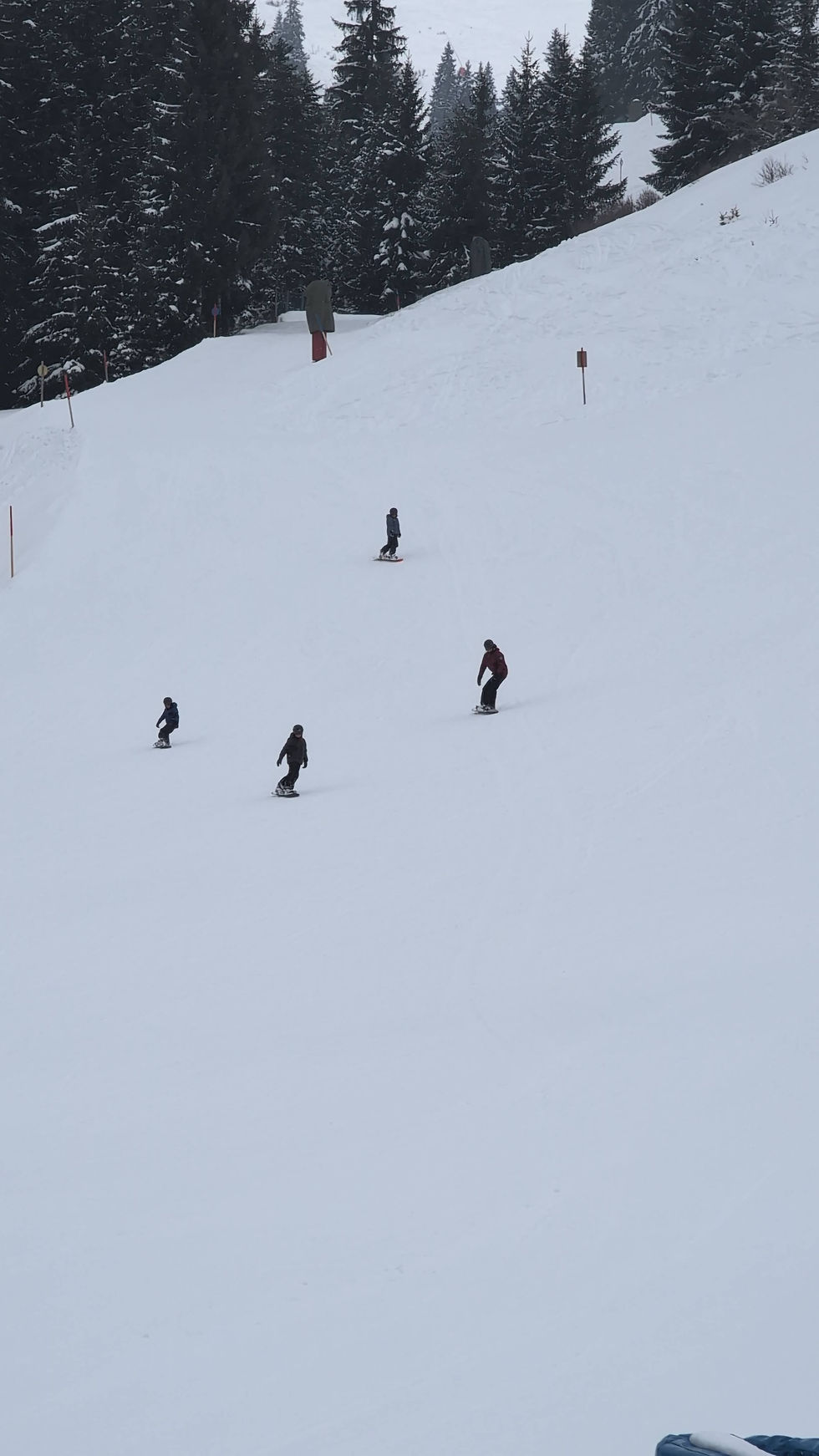 Four people snowboard down a snowy slope surrounded by tall, snow-covered pine trees. The sky is overcast, adding a serene mood.