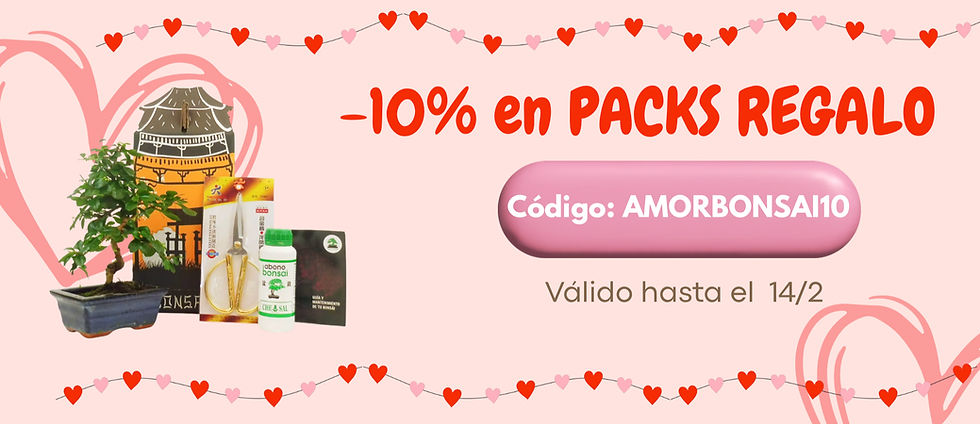 -10% en PACKS REGALO_edited.jpg
