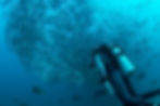 Scubadiving Trips