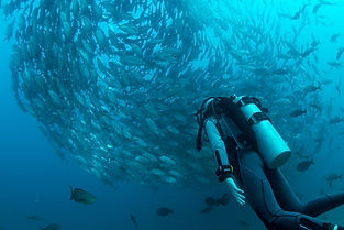 Viajes de buceo