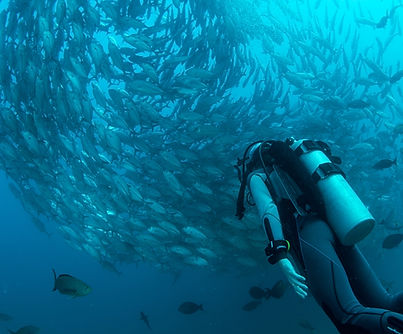 Scubadiving Trips