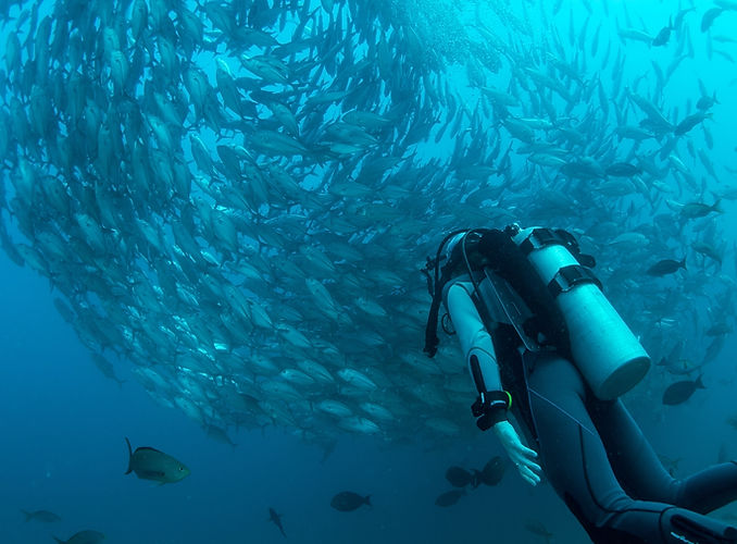 Scubadiving Trips