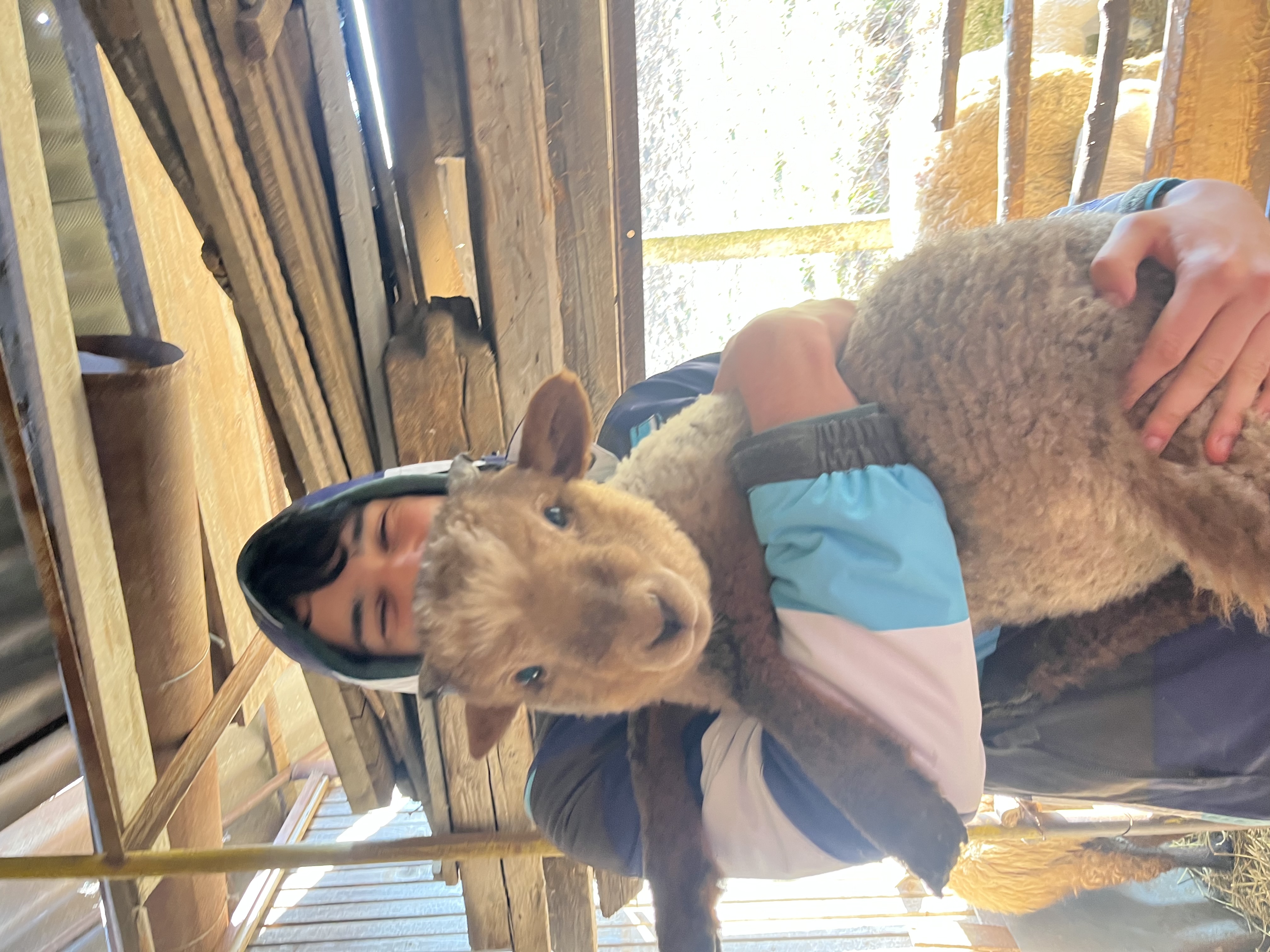 Writer: Siklódi Lehel