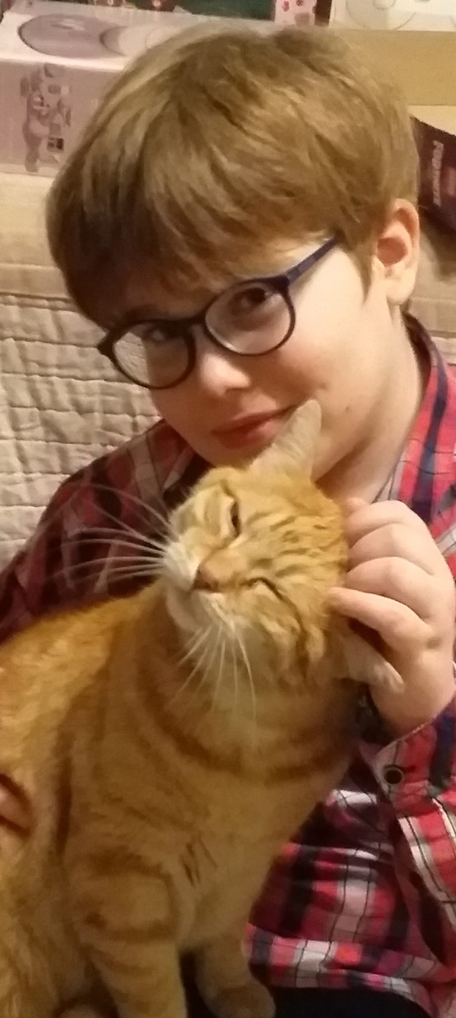 Writer: Bajnóczi Őrs