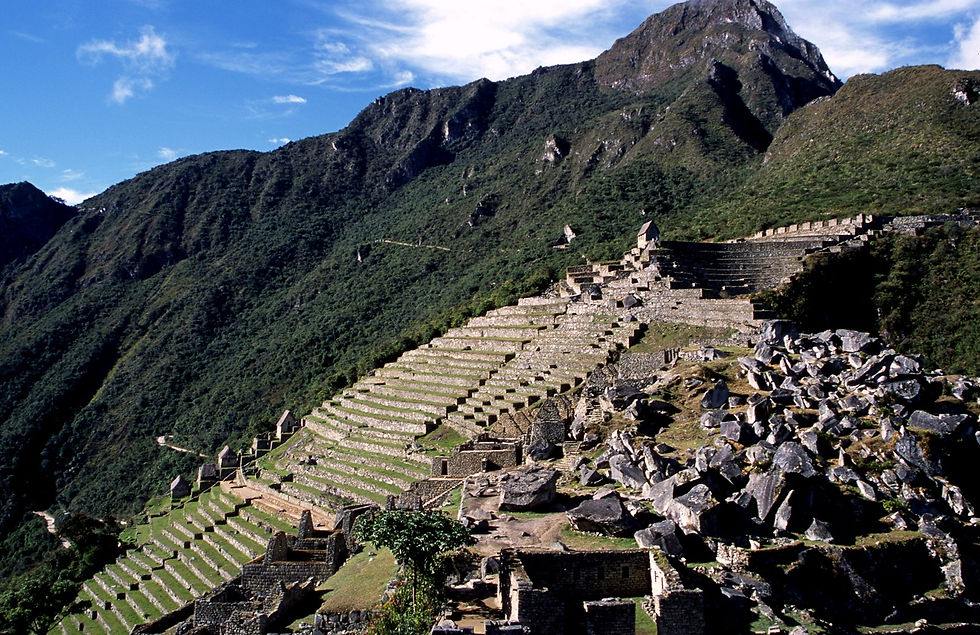 Macchu-Picchu - Terrasses