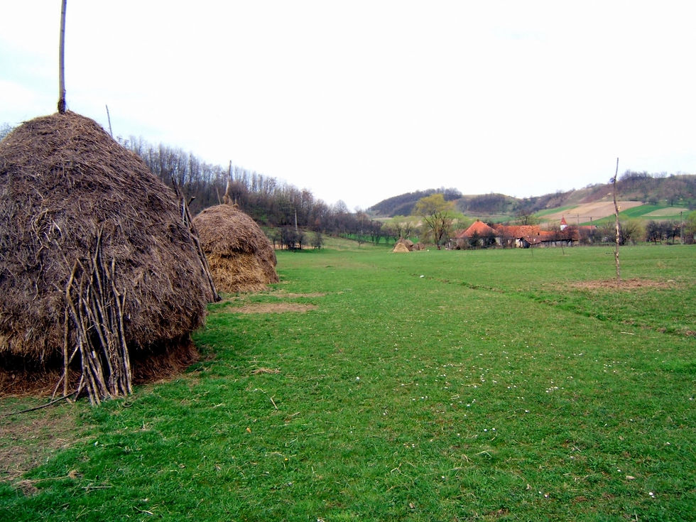 A la campagne