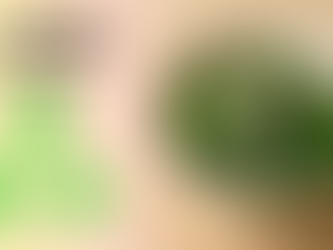 【ダイエットにおすすめ】低脂質・高タンパク・簡単時短おかず