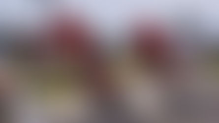 Sturmvogel Racing Team auf der Merkener Windkante