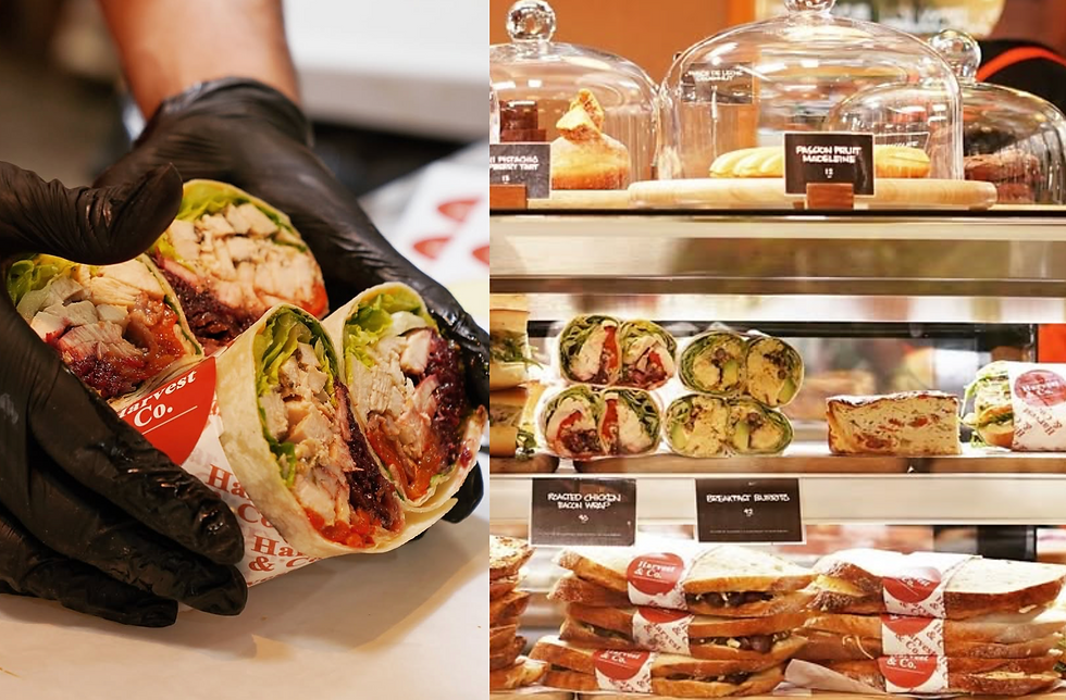 Screenshot 2026-02-13 at 10.10.54 PM.png