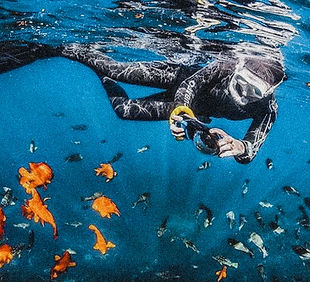 Screenshot 2024-09-25 at 3.16.40 PM.JPG