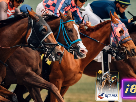 How do you bet on horse racing (RCB 988) at i8 Live? Basic horse racing guide 2025.