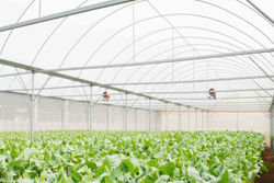 Special greenhouse films from Greece
