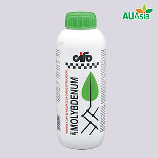 Foliar Fertilizers- MOLYBDENUM FAST.jpg