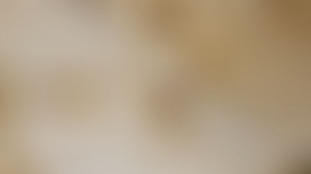 Simple Tortilla Wraps Recipe