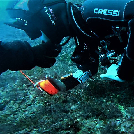 Diver handling regulator free flow