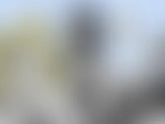 The NBA/WNBA Pay Gap 