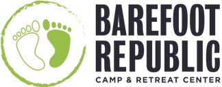 BRC-Primary-Logo-01 (1).png