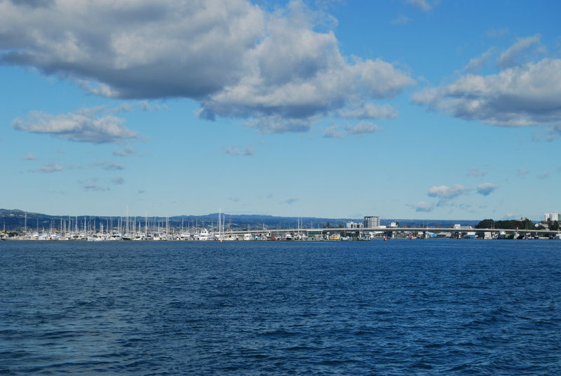 DSC_0113.JPG