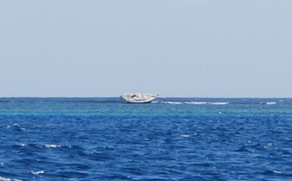 DSC_0247.JPG