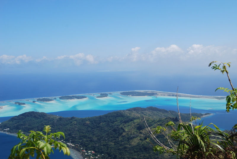 DSC_0739.JPG