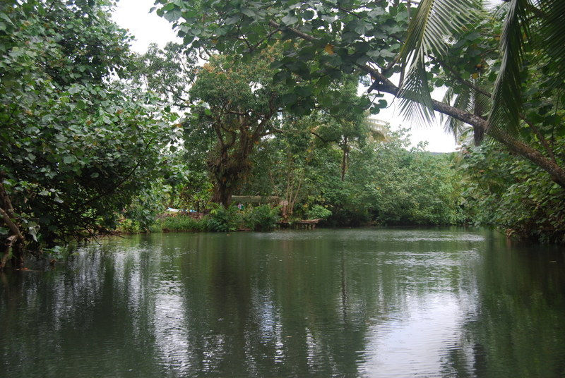 DSC_0537.JPG
