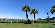 臨海1.JPG
