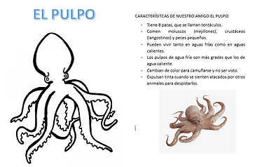 2018-11-18 (2)_edited.png