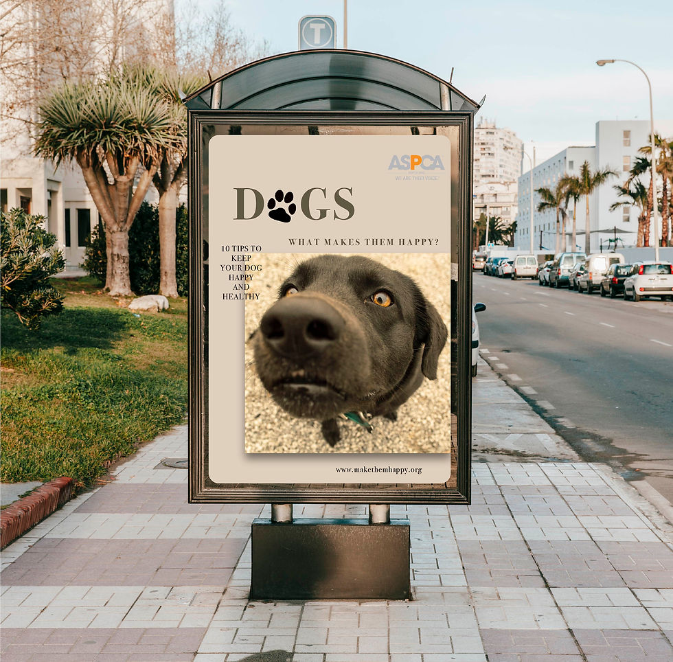 Campaign