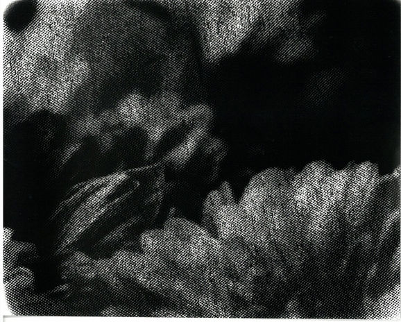 Screenshot 2023-04-19 at 13.05_edited.jpg