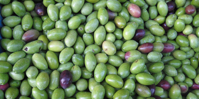 ree