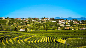 Our Stay at Gredic: Castle Retreat in Slovenia's Wine Country, Goriska Brda