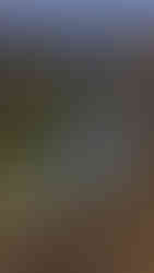 Zone 2 water bodies in Ranthambore, India, on Elegant Escape the best luxury Travel Blog.