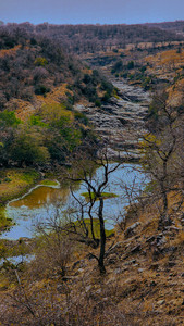 Zone 2 water bodies in Ranthambore, India, on Elegant Escape the best luxury Travel Blog.