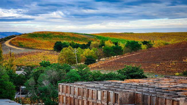 Beautiful landscape overlooking Vineyards from parking lot at Domaine Carneros Winery in Napa Valley