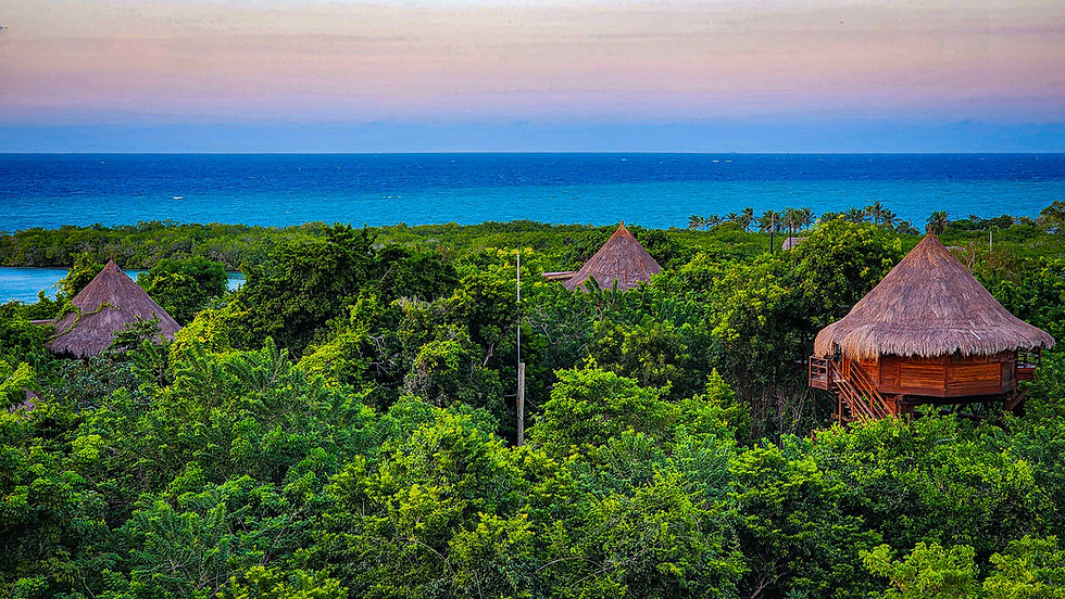 View from the bar of the treetops and treetop rooms in Las Islas Baru, Rosario Islands, Cartagena, Colombia, Luxury hotel, luxury resort, luxury blog, travel blog, hotel review, best hotel in Cartagena