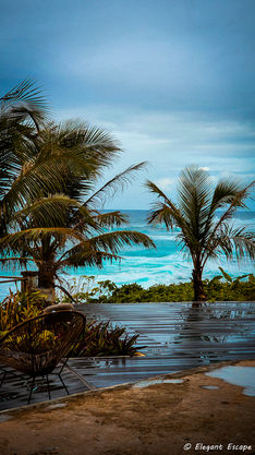Palm trees and ocean in Siargao Philippines on Elegant Escape the best travel blog about luxury travel hotels flights food