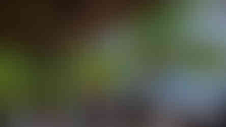 View of the beach and ocean from the deck of the room at Sok San Resort in Koh Rong Island, Cambodia on Elegant Escape the best luxury Travel Blog.