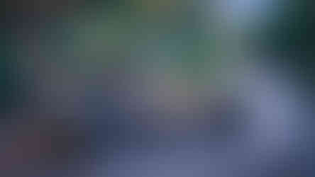 Safari Jeep from Oberoi Vanyavilas in Ranthambore, India, on Elegant Escape the best luxury Travel Blog.