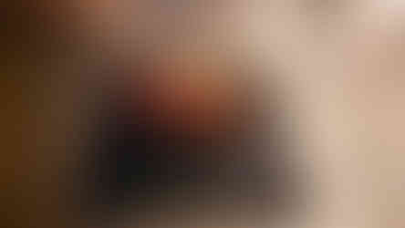 Sushi at Sushi by Scratch in Montreal Canada Best sushi in Montreal Canada Omakase